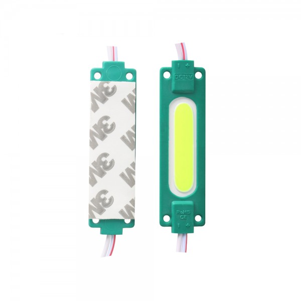LED COB injection molding module 2W