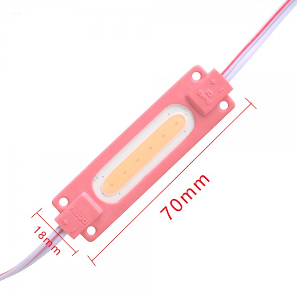 LED COB injection molding module 2W